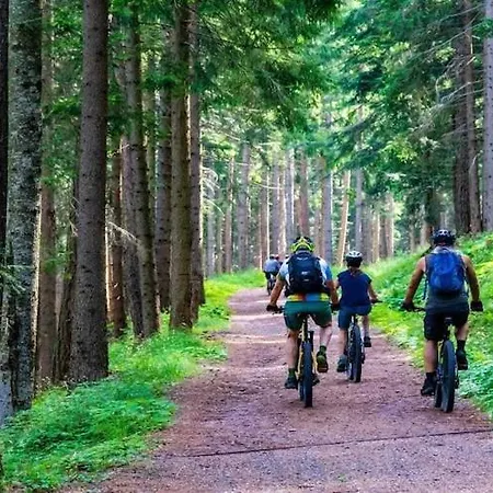 With Fireplace And Private Garden