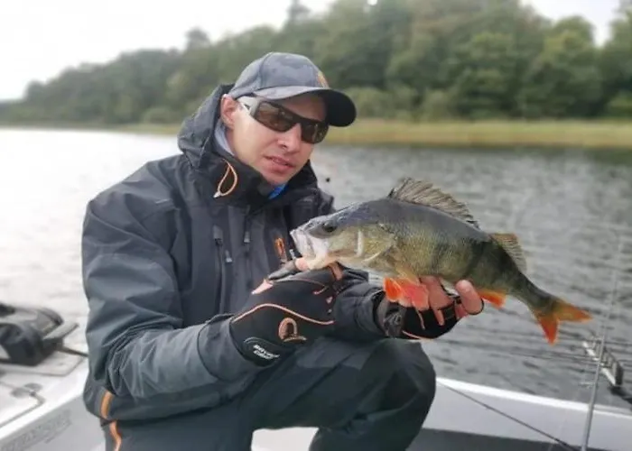 With Fireplace And Private Garden Żuromin