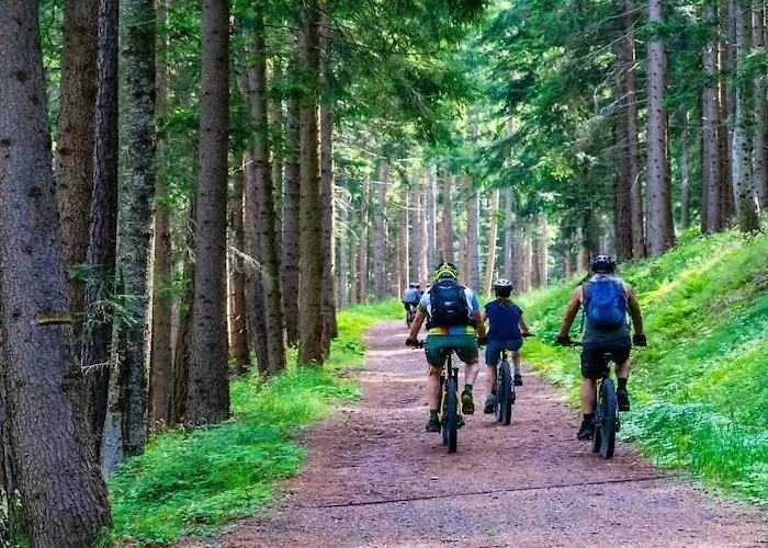 With Fireplace And Private Garden